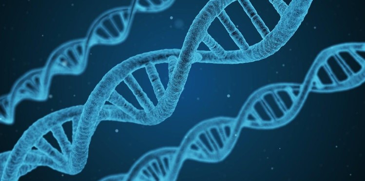Securing Citizenship Through DNA Analysis